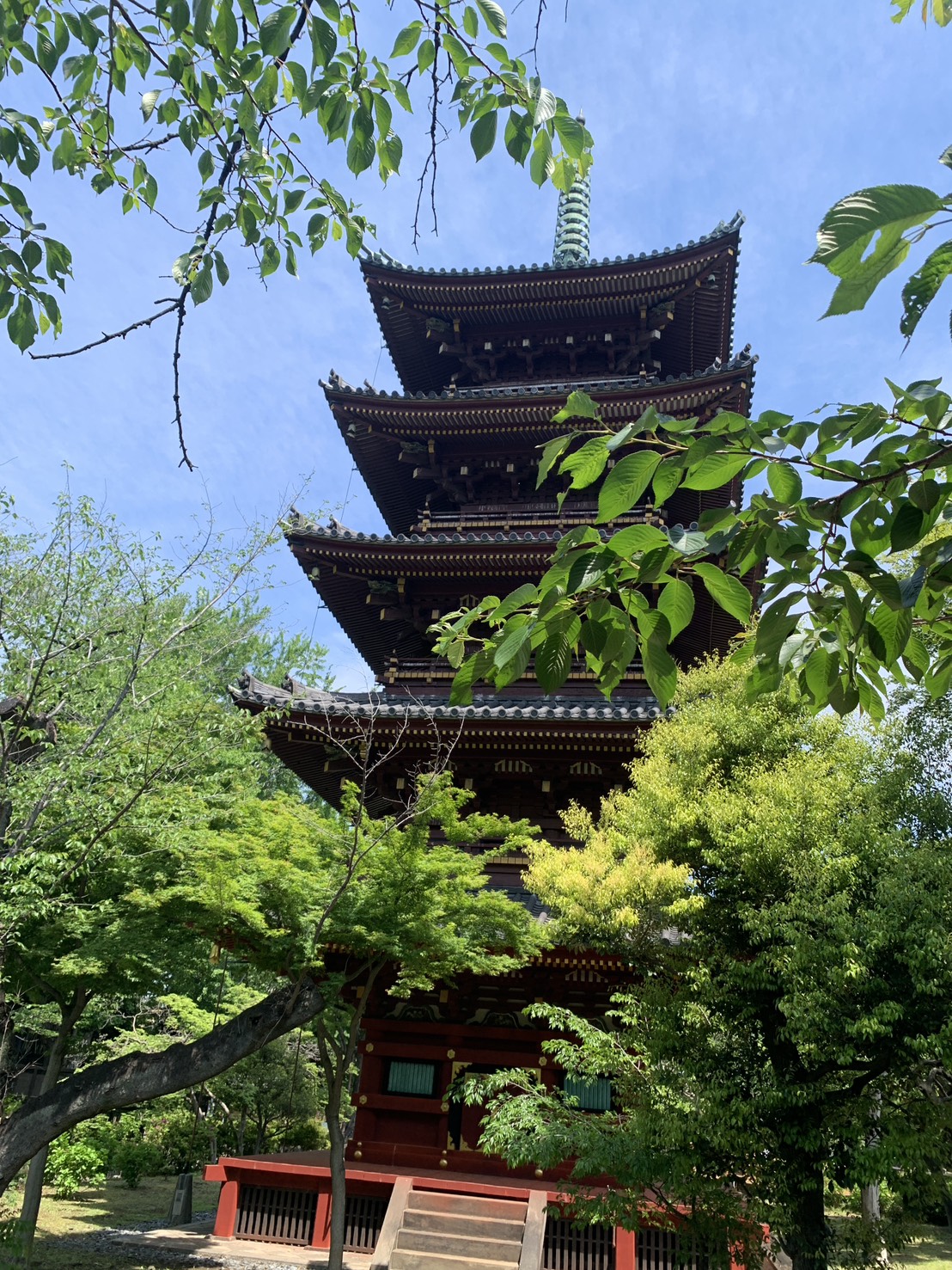 Pilgrimage photo 15
